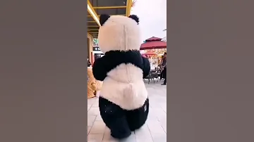 دب الباندا يهرب 