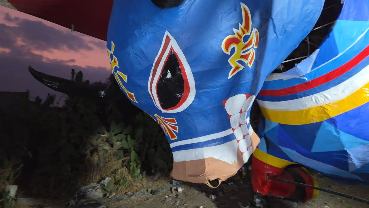 Asi Van Quedando Algunos Toros Que Estarán Este 6/3/2026 En El Recorrido En Honor a SAN JUAN DE DIOS