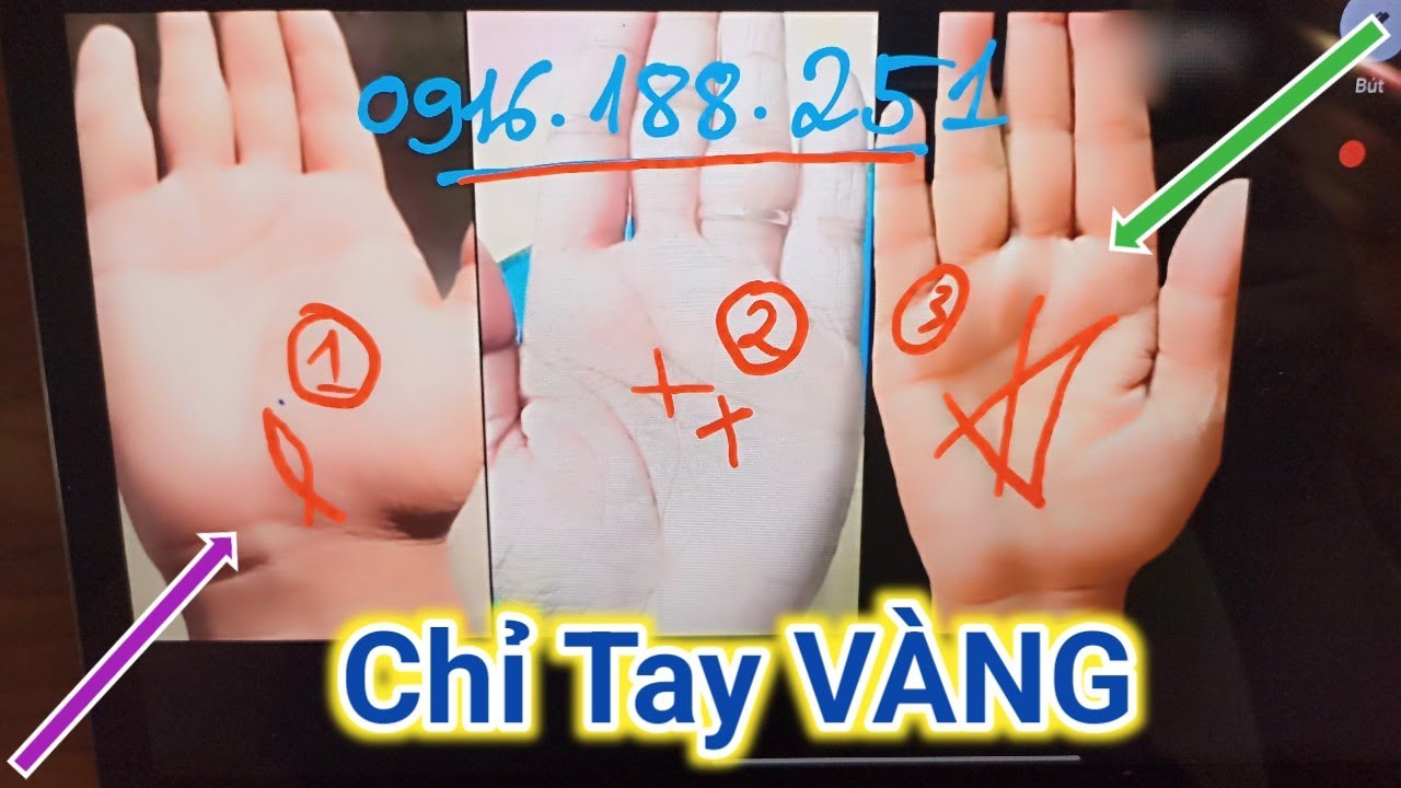 3 Chỉ Tay VÀNG _ GIÀU SANG PHÚ QUÝ/ Xem Chỉ Tay| Cậu Thành Tử Vi (0916.188.251)