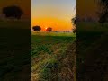 Khetibadi Video Status Short Khetibadistatus Khetibadi Farmerlife Myfirstvlog Farming