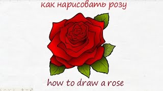 как нарисовать розу how to draw a rose #draw(как нарисовать розу how to draw a rose #draw Дети часто хотят нарисовать розу. Особенно на праздники. Они хотят нарис..., 2016-07-03T12:07:28.000Z)