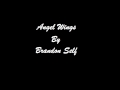 Capture de la vidéo Angel Wings Movie.wmv