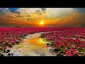 سورة الواقعة كامله القارئ اسلام صبحي مع مناظر طبيعية رائعة Full HD Islam Sobhi ارح قلبك هدوء 