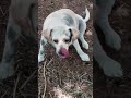 Bella what did you do!?!
