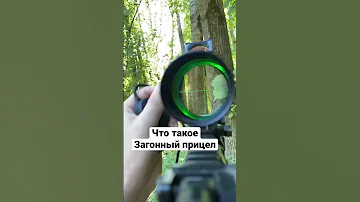 Что такое ЗАГОННЫЙ ПРИЦЕЛ, «загонник» #shorts #short