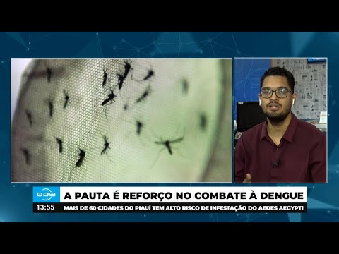 Dengue: 60 municípios piauienses têm alto risco de infestação do Aedes aegypti 30 01 2025