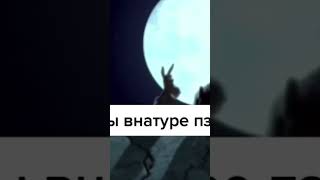 у них как обычно