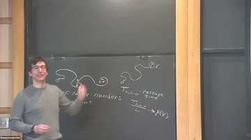 Geodesics and Minimal Surfaces in a Random Environment - Ron Peled