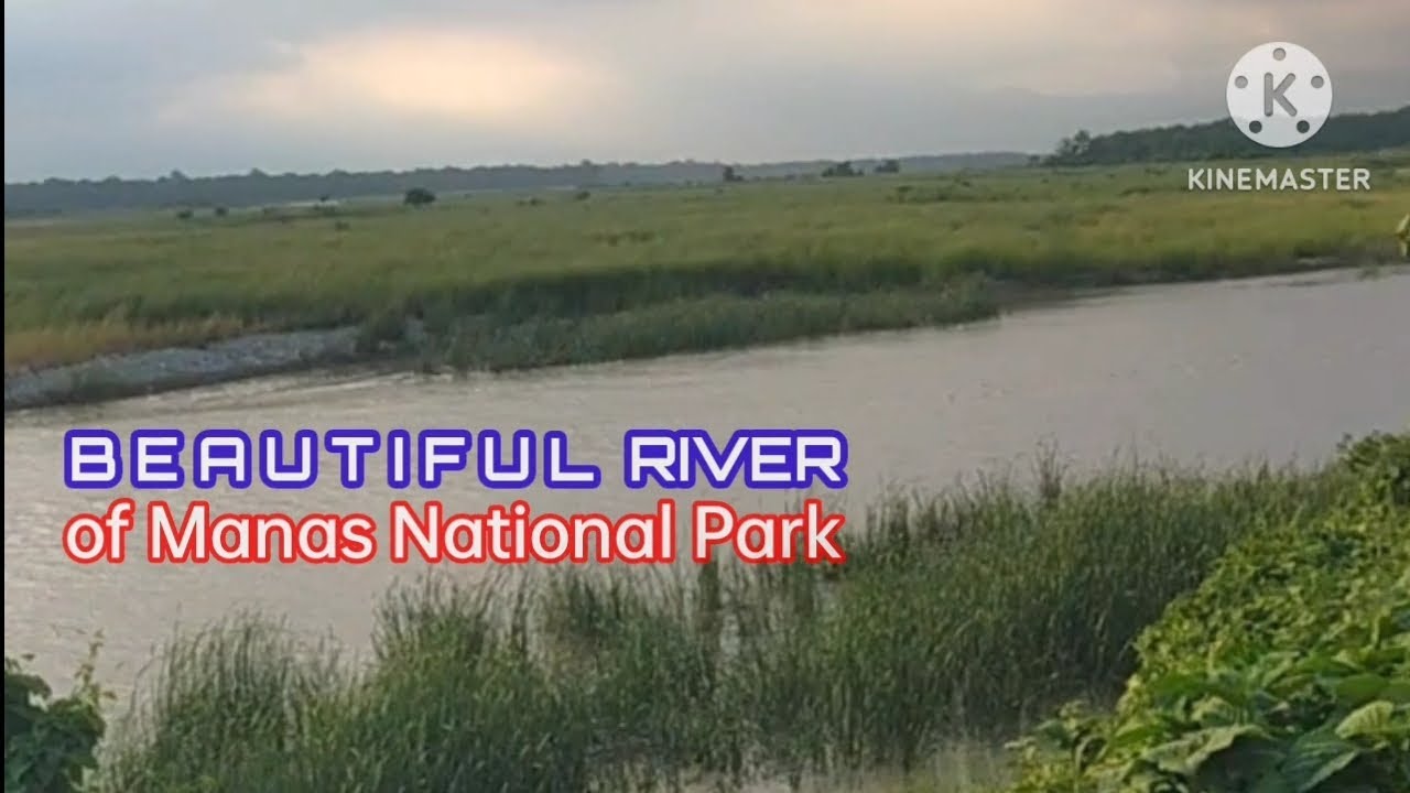 Beautiful river of manas national park 