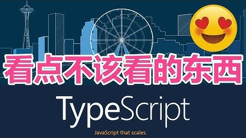 19★TypeScript入门与理解★看点不该看的东西