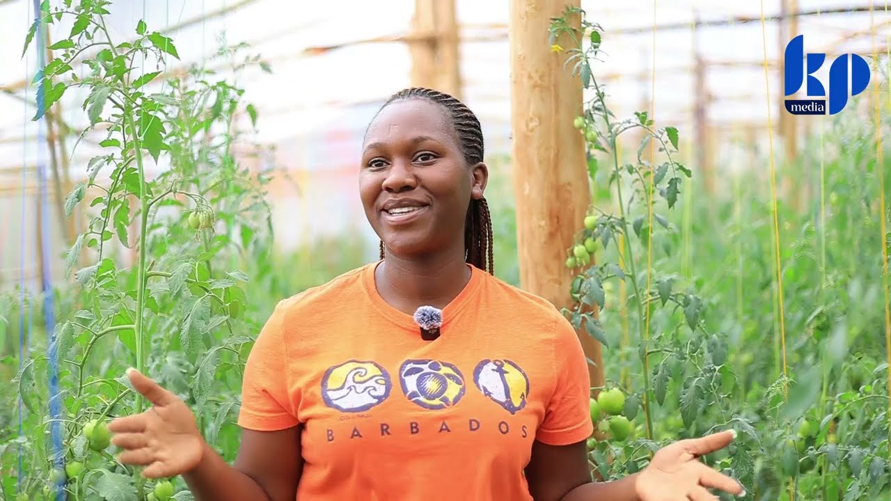 Yakuze arota kuba Umuganga, Ubu ni Umuhinzi w’Umwuga//