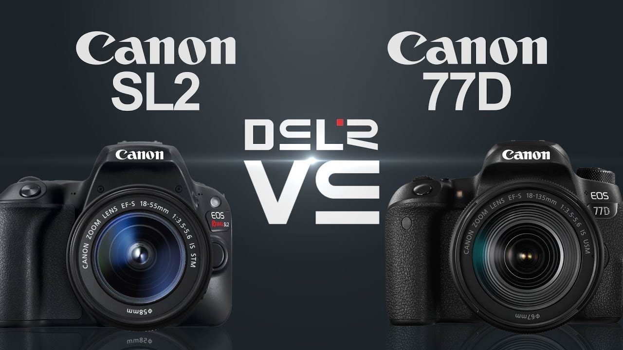 Canon Eos 3000d Review Best Entrylevel Dslr For Beginners