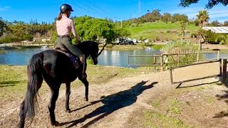 Liberty trotted for the first time in a long time!