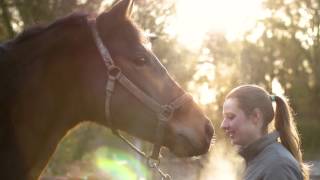 Klinische keuring bij paarden