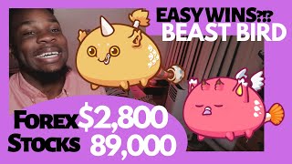 Is Beast Bird the Best Build in Axie Infinity?