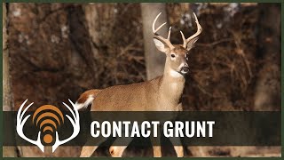 Whitetail Deer - Buck Contact Grunt - Sound Only - Call in Big Bucks! screenshot 2