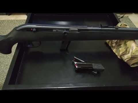 Savage model 64f in 22 long rifle.. 
