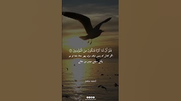 لحظات ستأخذك لعالم آخر.. استمع بقلبك فقط #تلاوة_خاشعة #قرآن_كريم #خشوع #ترتيل #الشيخ_أحمد_سامح