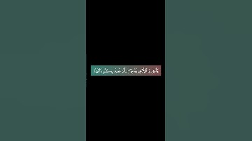  وَهُوَ الَّذِي سَخَّرَ الْبَحْرَ لِتَأْكُلُوا مِنْهُ لَحْمًا طَرِيًّا #سورة_النحل