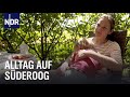 Familienstress auf Hallig Süderoog | die nordstory | NDR Doku