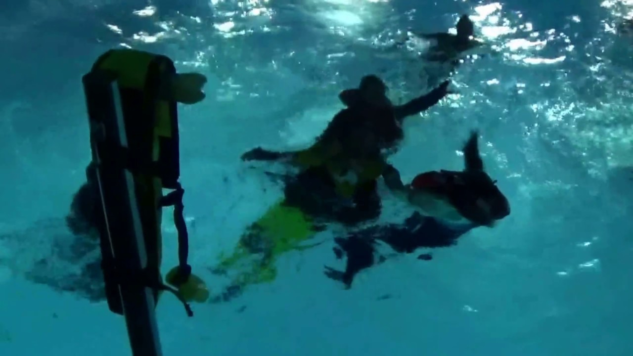 ⁣Segeln mit Morgane... ISAF Sicherheitstraining....