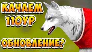 ЖДЕМ ОБНОВЛЕНИЕ и КАЧАЕМ 110 УРОВЕНЬ у ВОЛКА в WildCraft Симулятор животных ЖДЕМ ОБНОВЛЕНИЕ и КАЧАЕМ 110 УРОВЕНЬ у ВОЛКА в WildCraft Симулятор животных