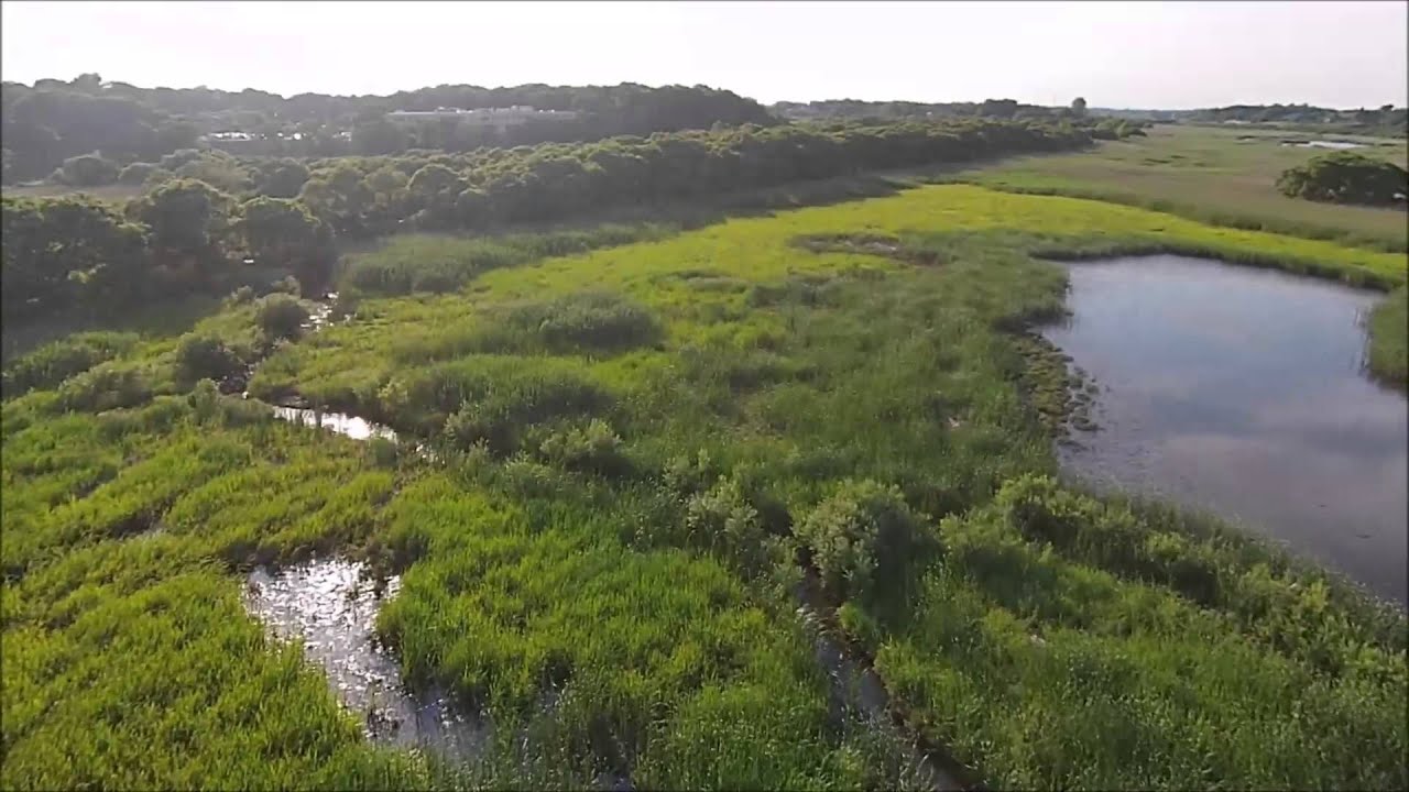 初夏の菅生沼 In 坂東市 Youtube