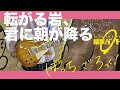 結束バンド「転がる岩、君に朝が降る」 ギター /Guitar cover【弾いてみた】