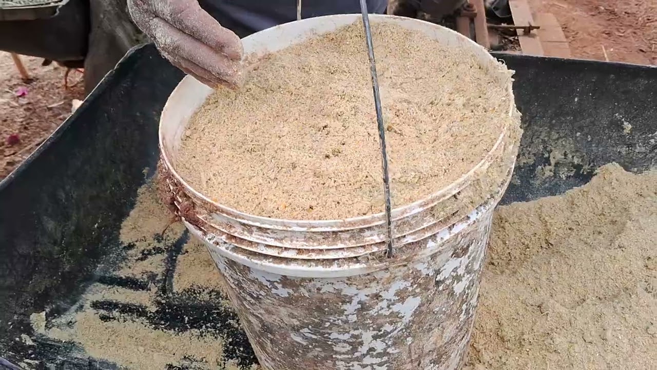 Como tratar de porco com cana de açúcar triturada 