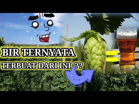 Video: Cara Membuat Tempat Pembuatan Bir