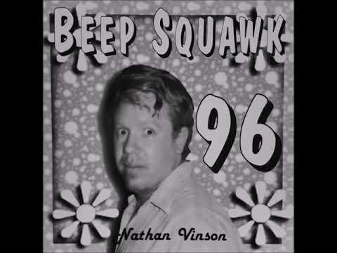 Nathan Vinson — Nathan Vinson - Beep Squawk 96 (Experimental) 1996