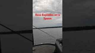Deep Water Bass on Flutter Spoon] Sam Rayburn #cgwhackem #bassfishing #samrayburn #fishing
