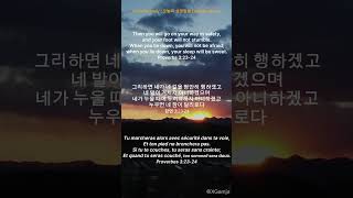 TriVerse Daily | 오늘의 성경 말씀 | Verset du Jour - Proverbs 3:23-24