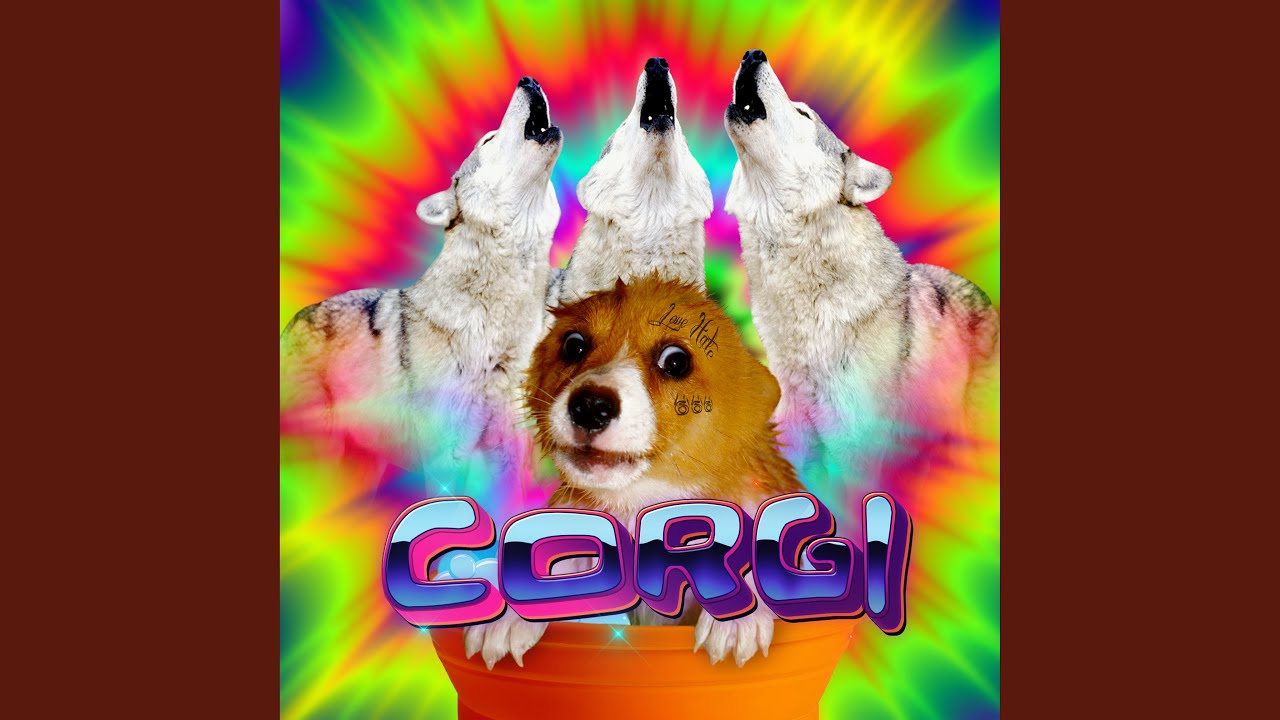 Guarda Corgi su YouTube Guarda Corgi su YouTube