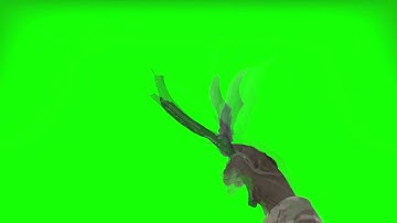 Butterfly Knife animation green screen [CS:GO]