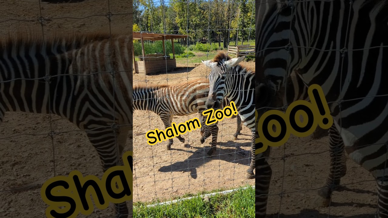 Checking out Wisconsin's Wildest Zoo! 