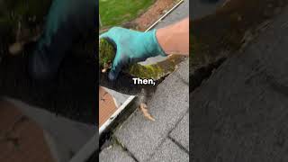 What's the craziest way you've seen someone try to avoid responsibility? 🤔 #shorts