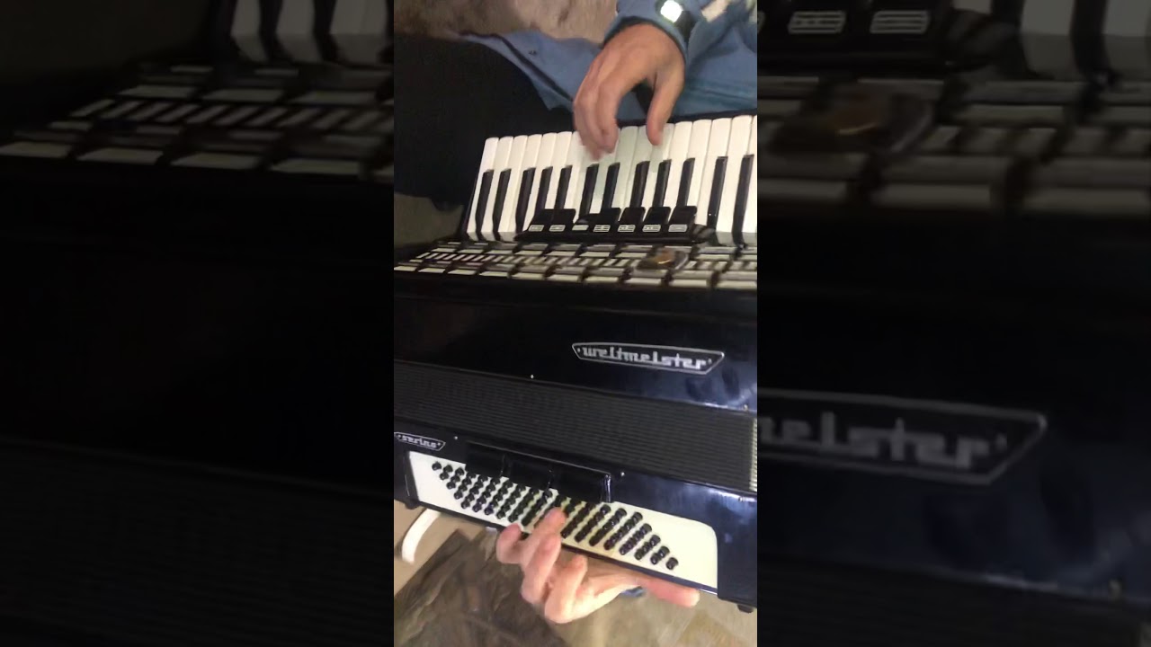 Accordion Weltmeister Serino 80