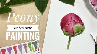 Peony watercolor painting tutorial | Learn to Paint Peony | Step by Step