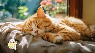 Cat musicSweet Piano music to help cats sleep, Relaxing Music for Cats