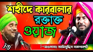 শহীদে কারবালার রক্তাক্ত ওয়াজ//aminuddin nakshabandi//ফাটাফাটি ওয়াজ