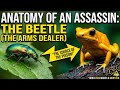 Anatomy of an Assassin: The Arms Dealer of the Amazon