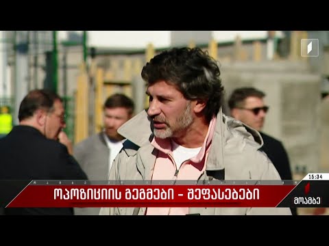 ოპოზიციის გეგმები - შეფასებები პოლიტიკურ სპექტრში