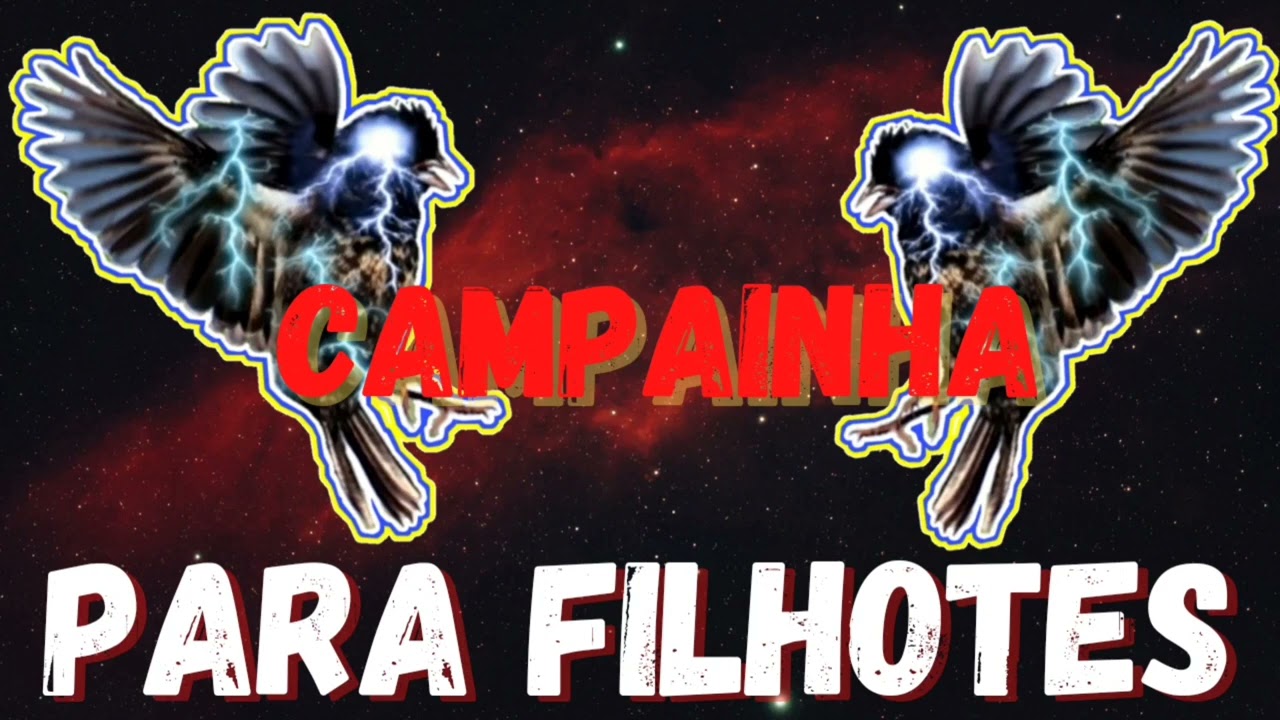TIZIU CAMPAINHA VELOCISTA PARA ENCARTE DE FILHOTES! [2 HORAS DO MELHOR]