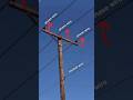 Electric pole main 3 wire #facts #transmission #powertransmission