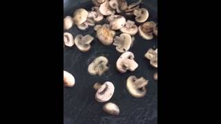 Cogumelos