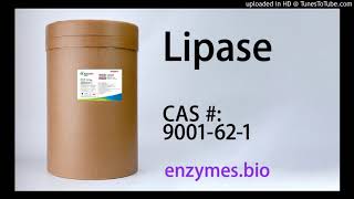 Lipase Enzyme Manufacturers & Suppliers CAS 9001-62-1 by Enzymes Wholesale 51 views 3 years ago 50 seconds