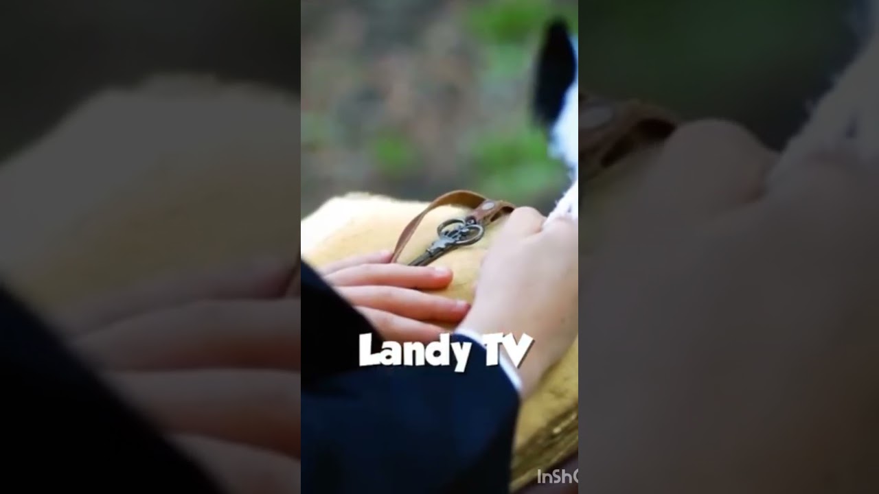 Landy funny th.     😂😂😂😂😂😂.                   