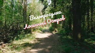 Велопрогулка в Лесу