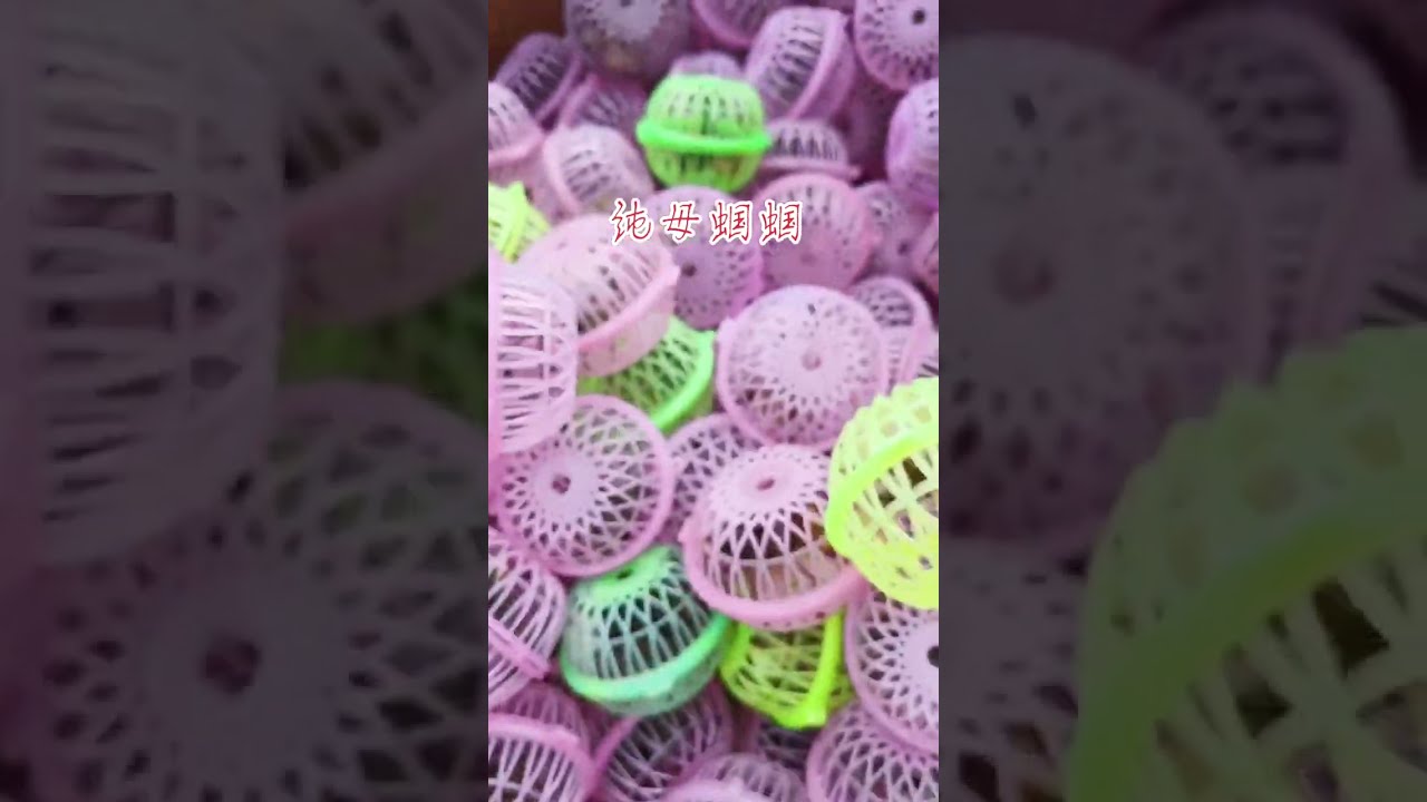 Countryside food but delicious 